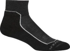 Icebreaker Hike+ Light Mini Socks - Women's